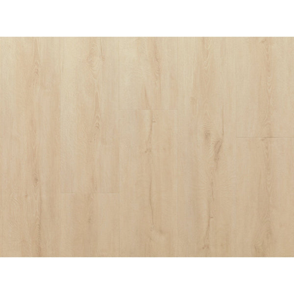 NewAge Stone Composite LVP Flooring 9.5mm 216 sq. ft. Flooring Bundle